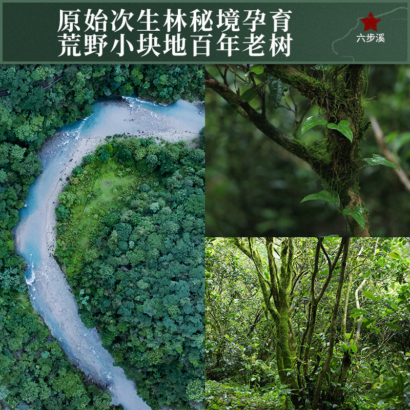 2016 Yu Qilin Anhua Dark Tea Cake
