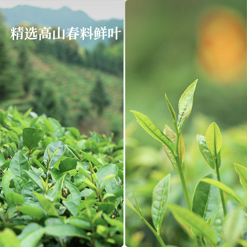2008 Gui Wei Liu Bao Tea