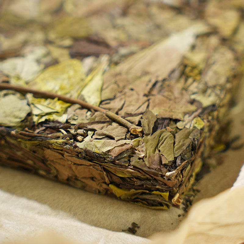 Long Legs | Wild White Tea