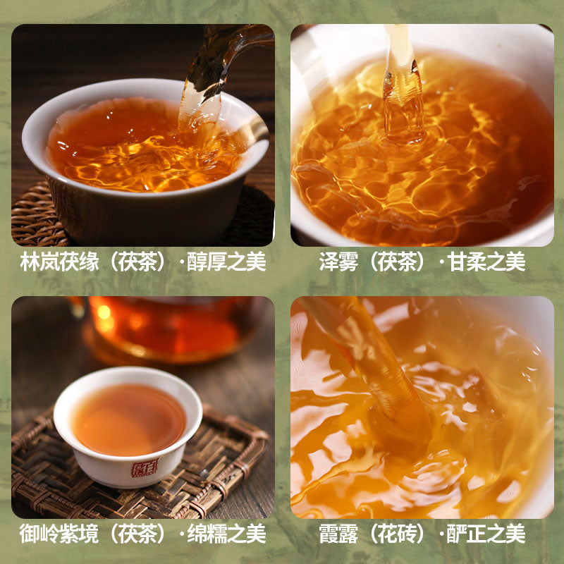 The Beauty of Grand Wilderness | Anhua Dark Tea Sample Set