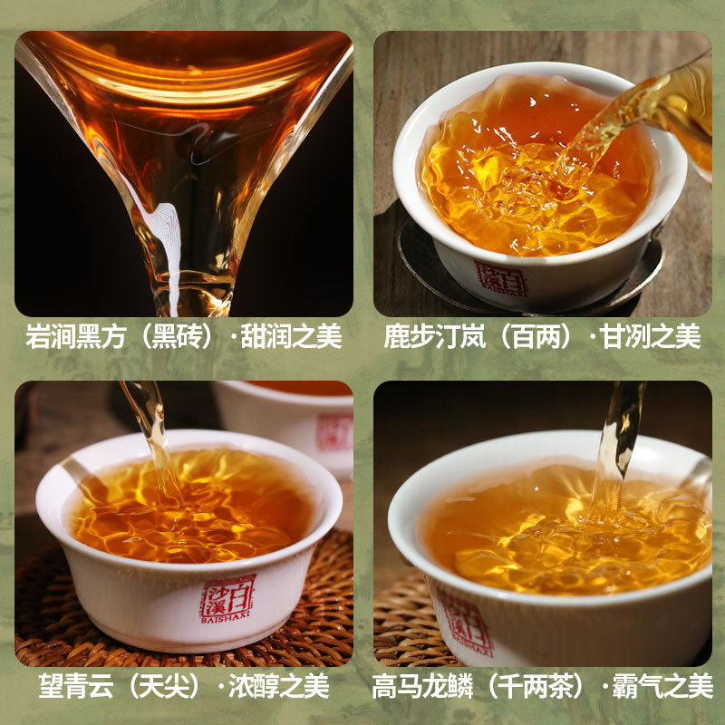 The Beauty of Grand Wilderness | Anhua Dark Tea Sample Set