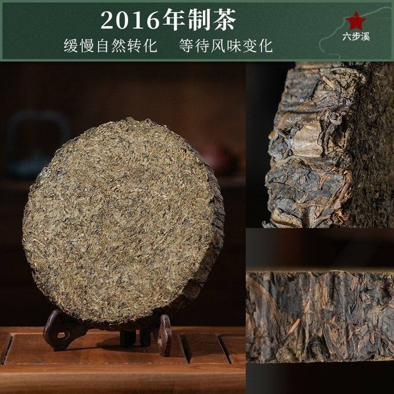 2016 Yu Qilin Anhua Dark Tea Cake
