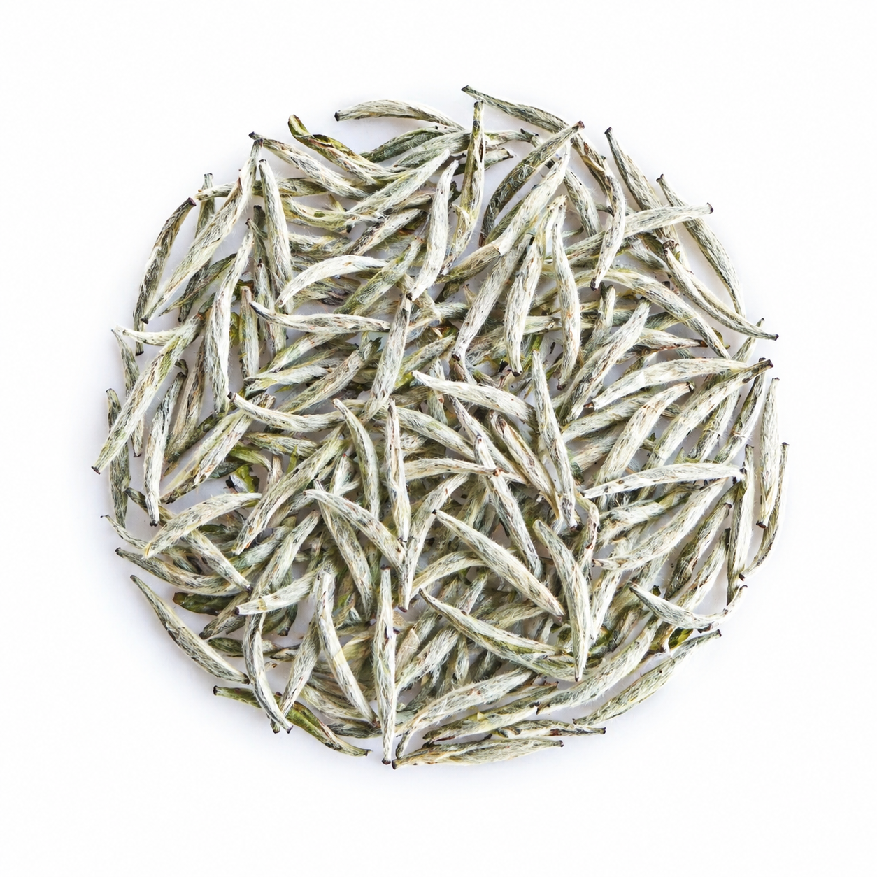 White Hair Silver Needle (Bai Hao Yin Zhen) White Tea 3 Sachets