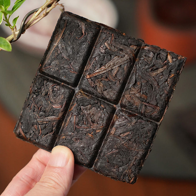 2013 Vintage Compressed Yongchun Foshou Oolong Tea