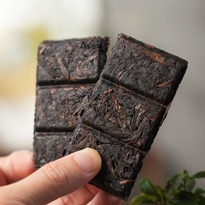 2019 Vintage Compressed Yongchun Foshou Oolong Tea