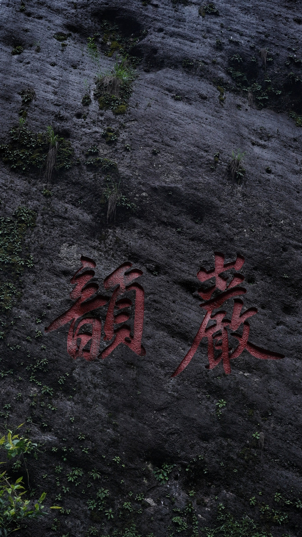 Da Hong Pao Oolong Tea