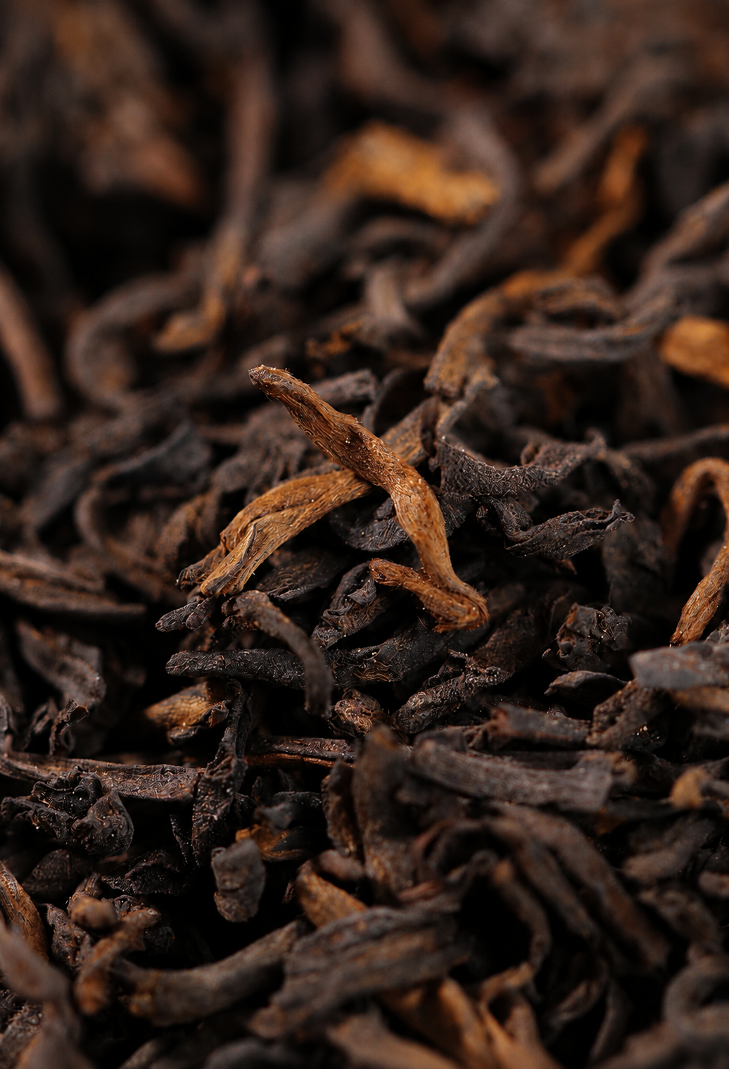 2008 Gui Wei – Liu Bao Tea