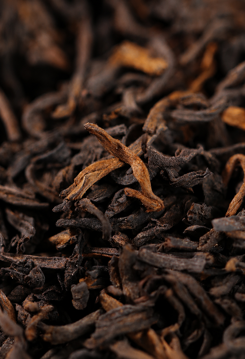 2008 Gui Wei – Liu Bao Tea