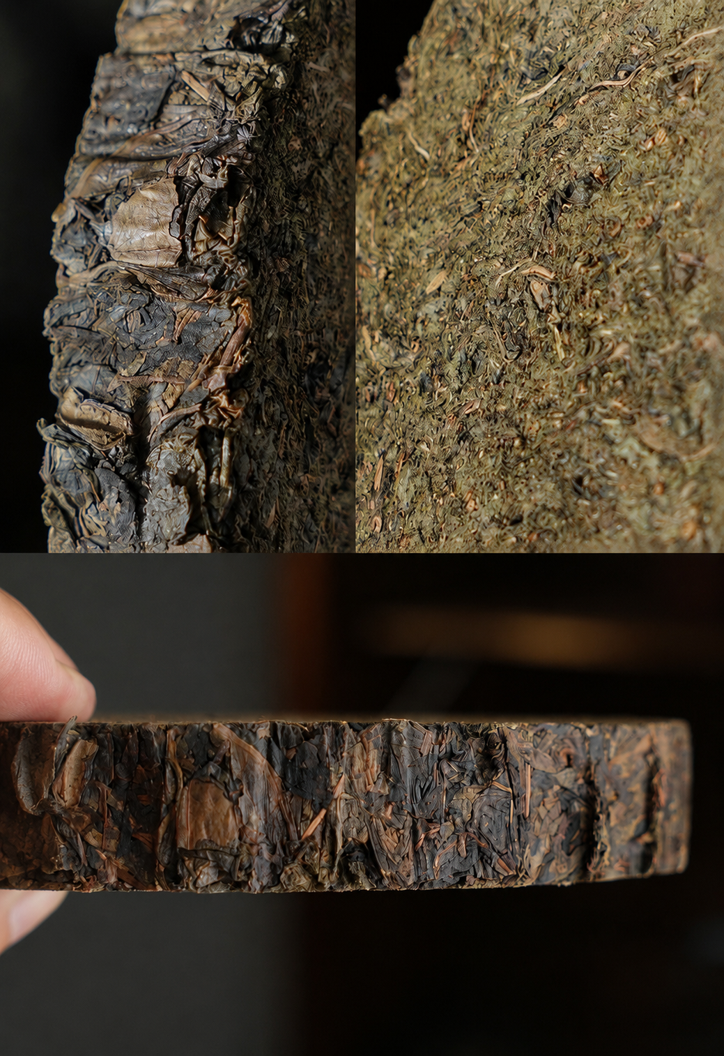 2016 Yu Qilin Qianliang Tea Cake – Wild Centuries Old Tree Anhua Heicha