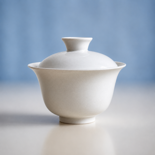 Ash Glaze Gaiwan