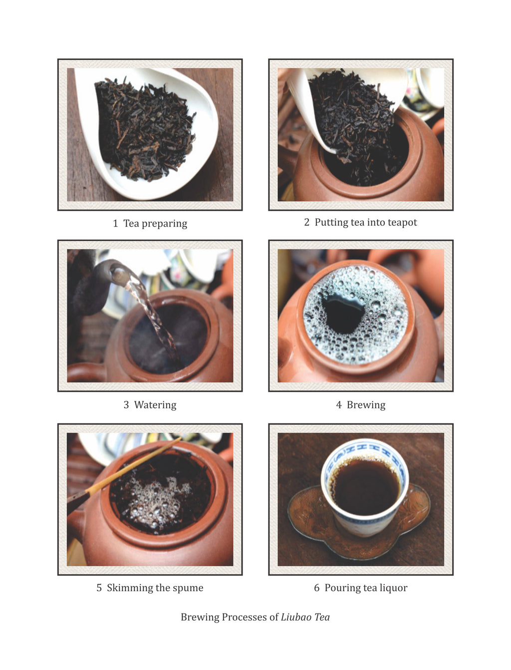 Chinese Tea: Science Behind The Leaf