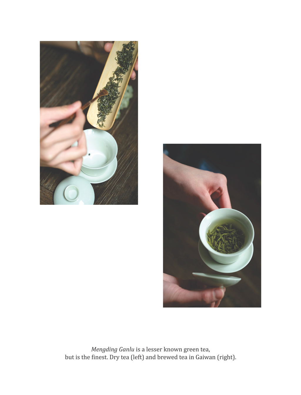 Chinese Tea: Science Behind The Leaf