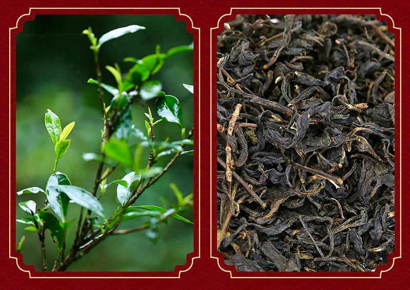 "Fortune on Horseback" Flower Brick – Anhua Dark Tea, Year of the Horse Limited Edition