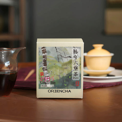 1995 Vintage Buds and Tips Traditional Crafted Liubao Tea 9501