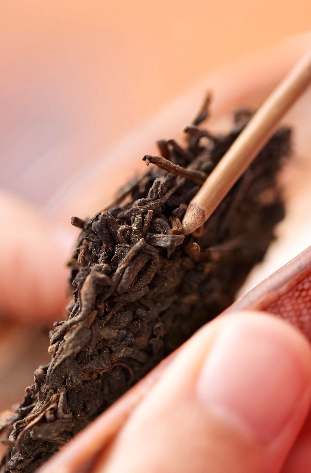 2000 Vintage Ginseng Aroma Liu Bao Tea