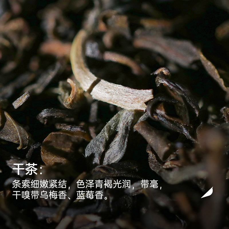 2025 Sheqian Liu Bao Tea