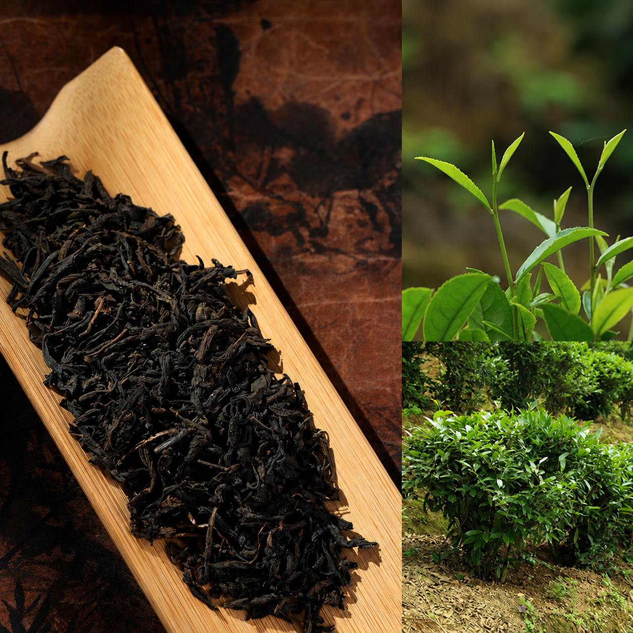 2018 Black Jasmine Liu Bao Tea