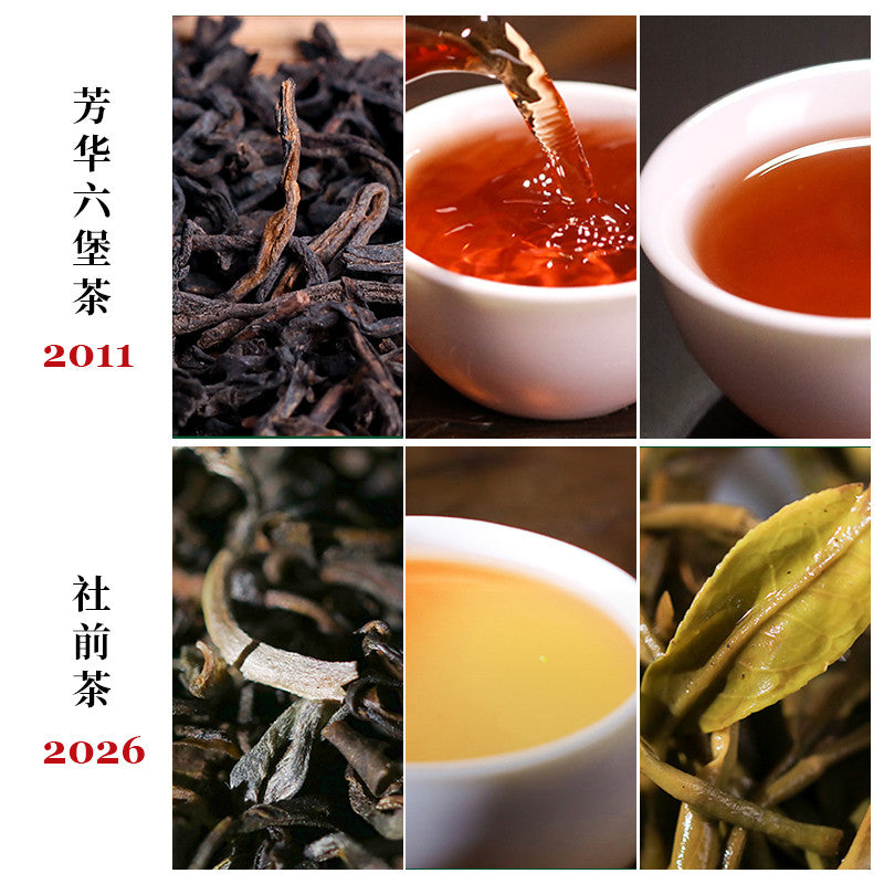Chujian –  Liu Bao Tea 8-in-1 Sampler Set 56g (7g x 8)