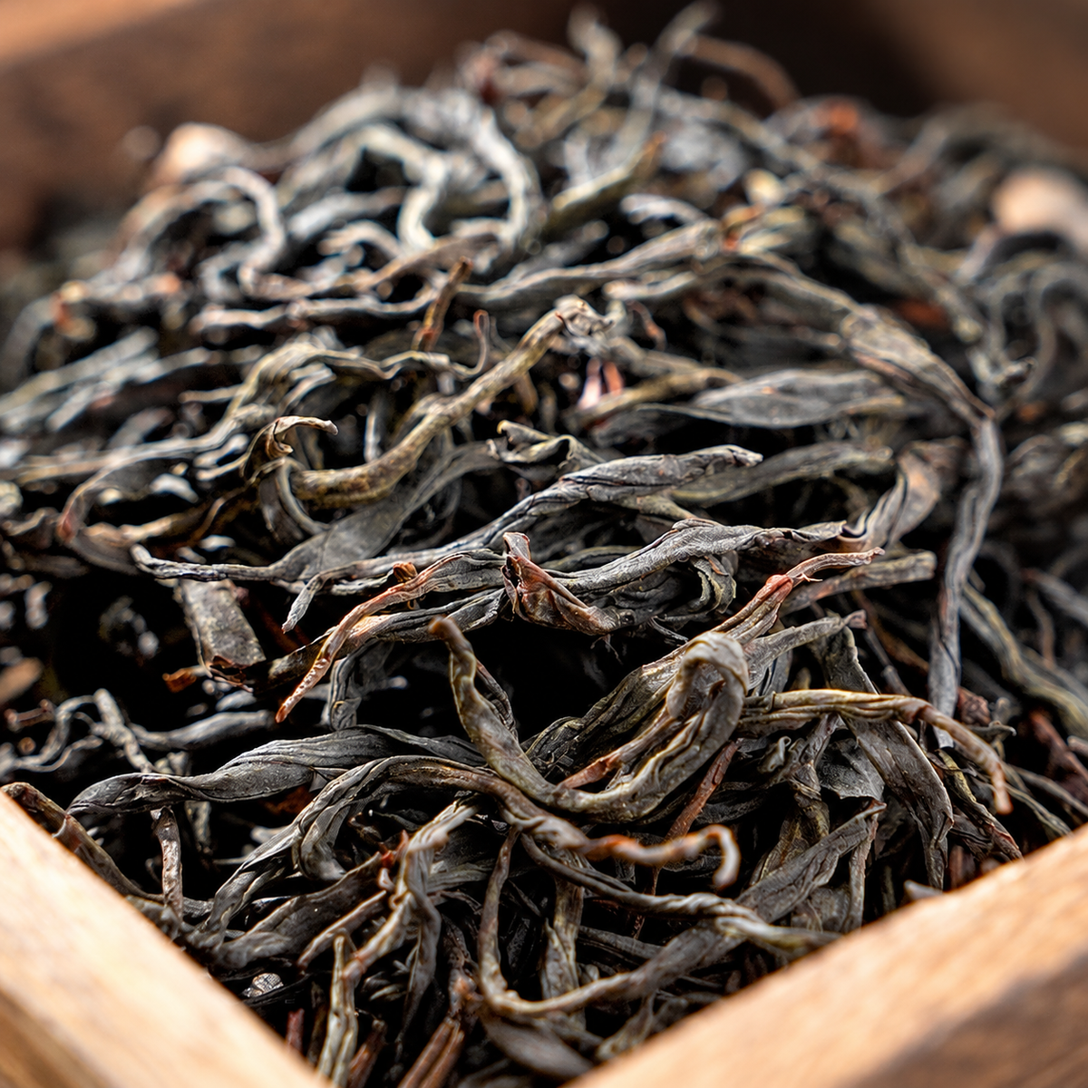 Huangye – Wild Old Tree Yunnan Dianhong Black Tea