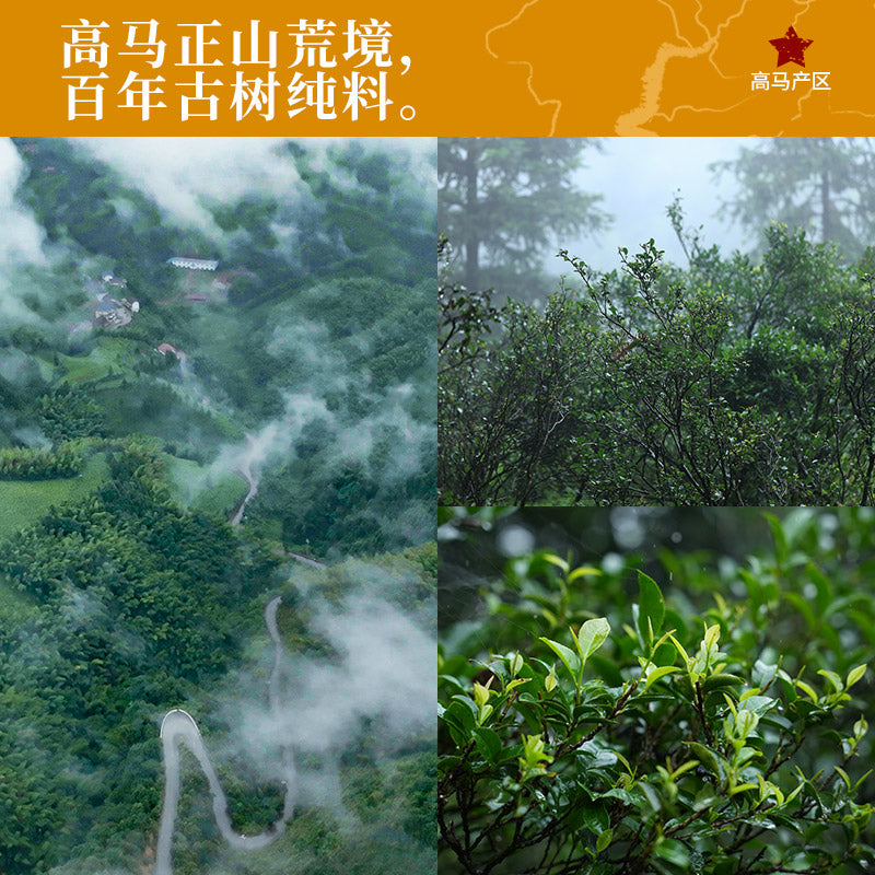 2019 Gaoma Cangjuan Centuries Old Tree Qianliang Tea Cake