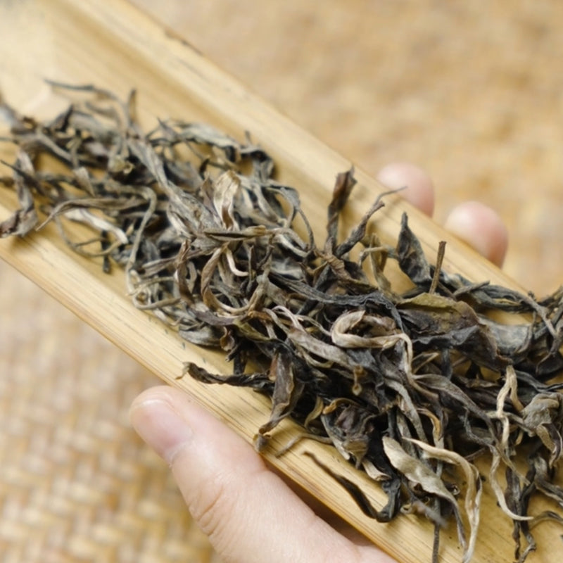 2022 Kong Ming Mountain Centuries-old Tree Raw Pu-erh Tea