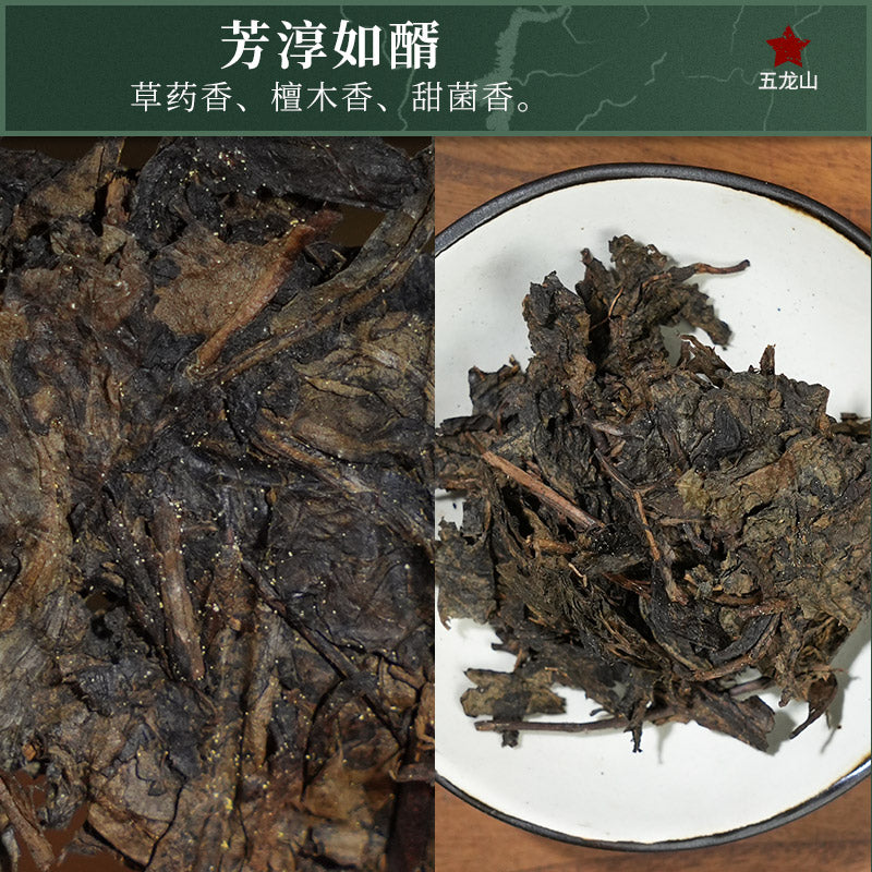 2012 Zuiyin Tianlu Anhua Dark Tea