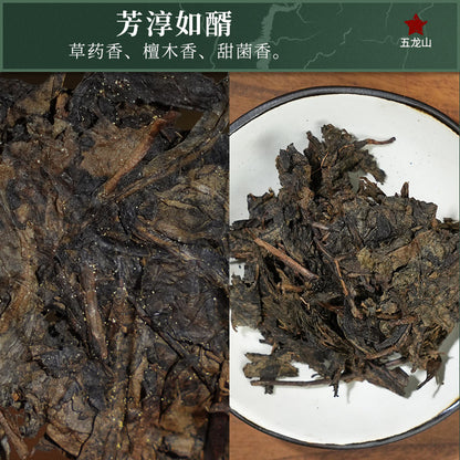 2012 Zuiyin Tianlu Anhua Dark Tea