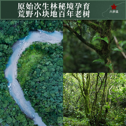 2016 Yu Qilin Anhua Dark Tea Cake