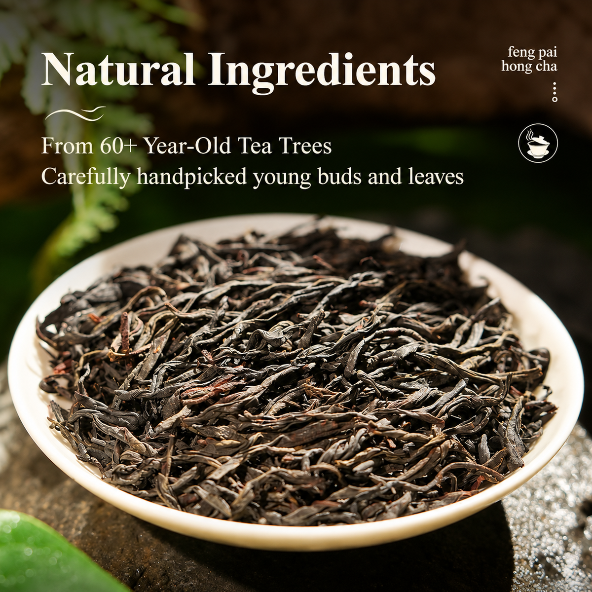 Huangye – Wild Old Tree Yunnan Dianhong Black Tea