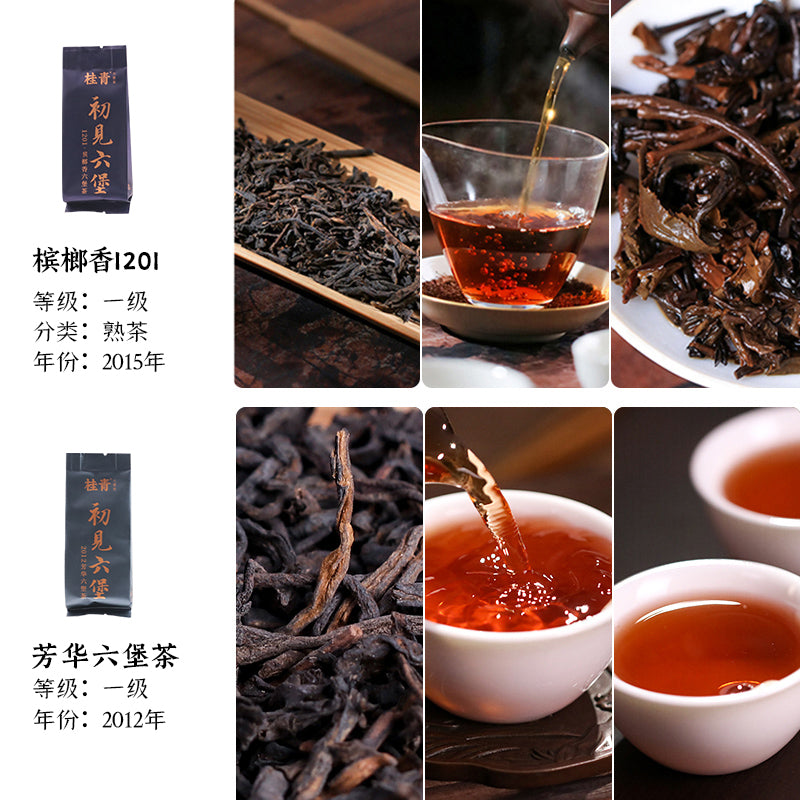 Chu Jian | Liu Bao Tea Sample Set