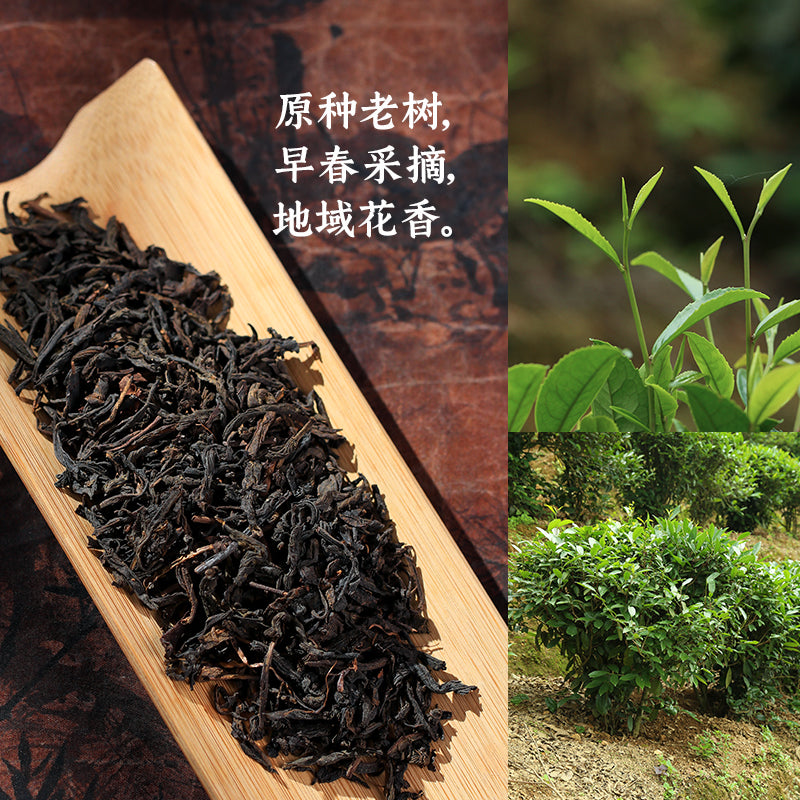 2018 Black Jasmine Liu Bao Tea