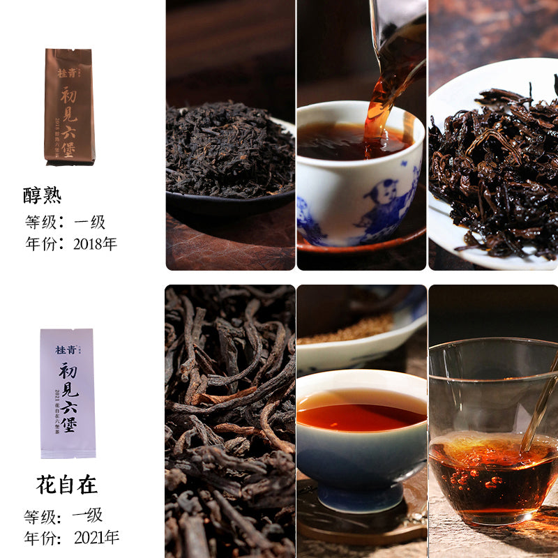 Chu Jian | Liu Bao Tea Sample Set