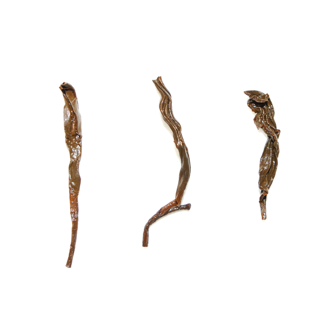 Yesheng (wild) Black Tea
