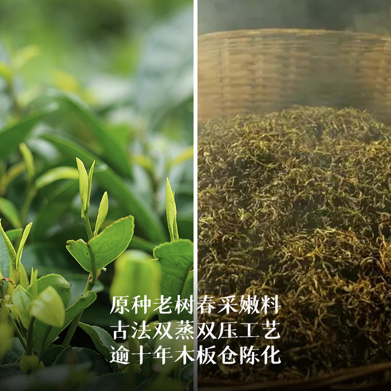 2012 Fang Hua Liu Bao Tea
