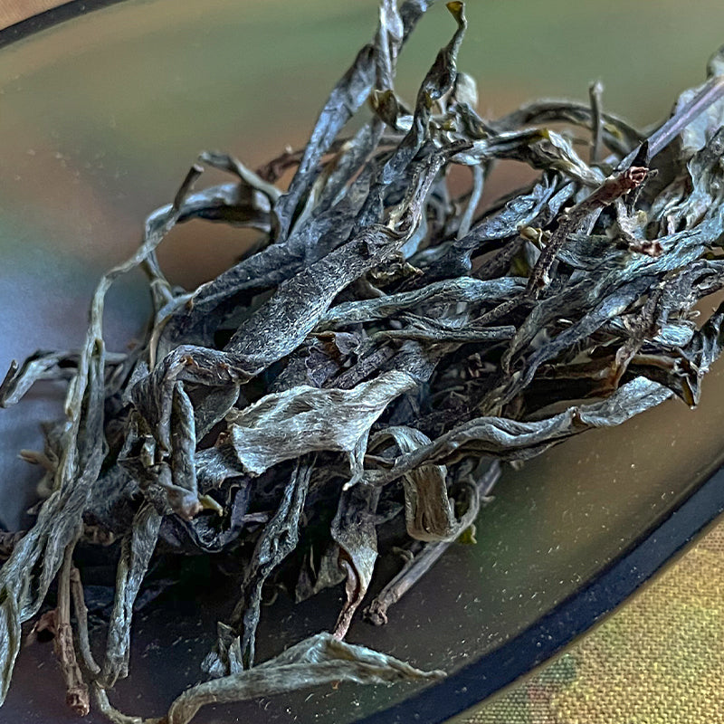 Yishanmo Ancient Tree Single-Origin Raw Pu-erh Tea Cake