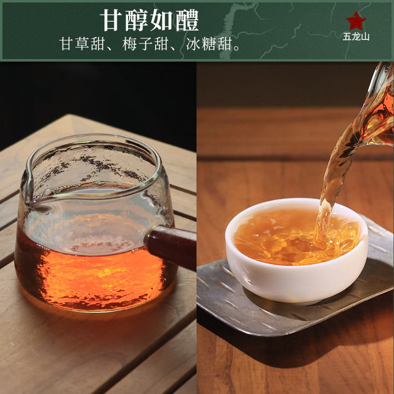 2012 Zuiyin Tianlu Anhua Dark Tea