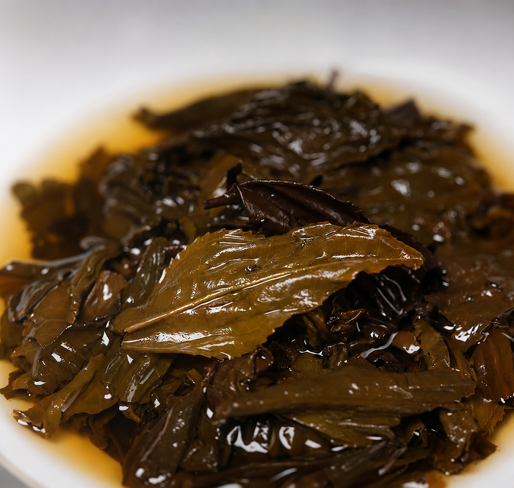 Forest Mist – 2022 Anhua Fu Brick Dark Tea Heicha