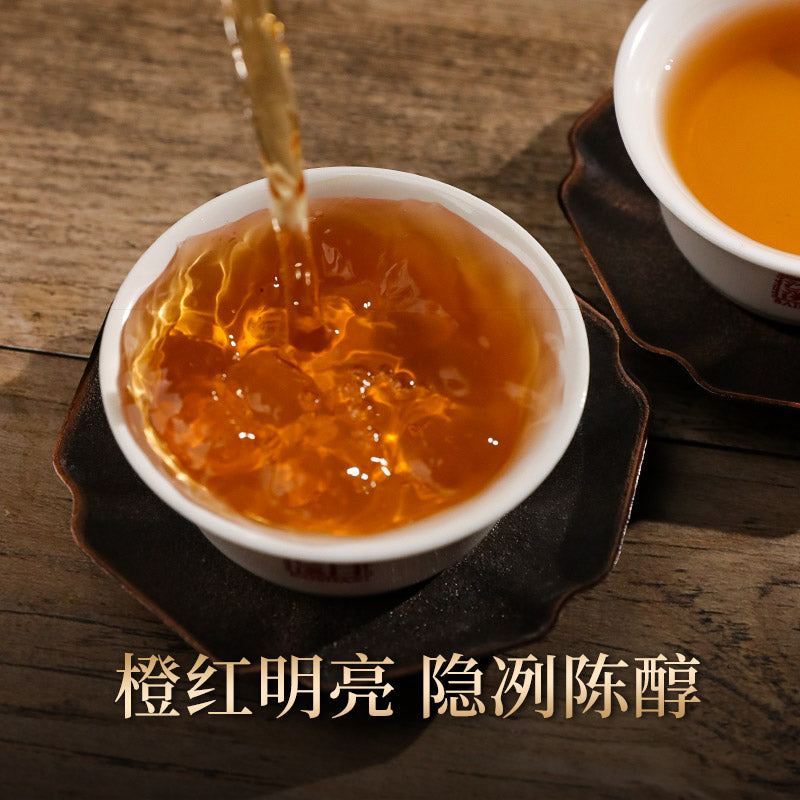 2013 Tianjian Anhua Dark Tea