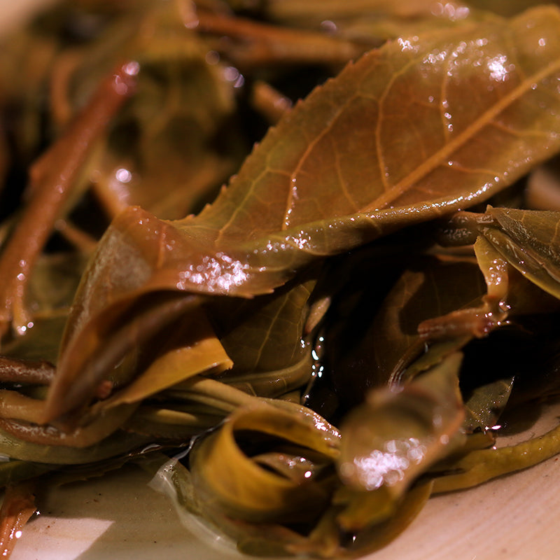 2024 Mijing Youlan Nannuoshan Ancient Tree Single-origin Pu-erh Raw Tea Dragon Ball