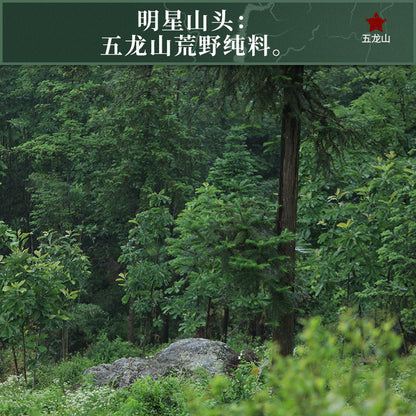 2012 Zuiyin Tianlu Anhua Dark Tea