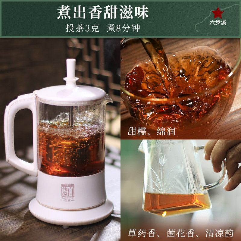2016 Yu Qilin Anhua Dark Tea Cake