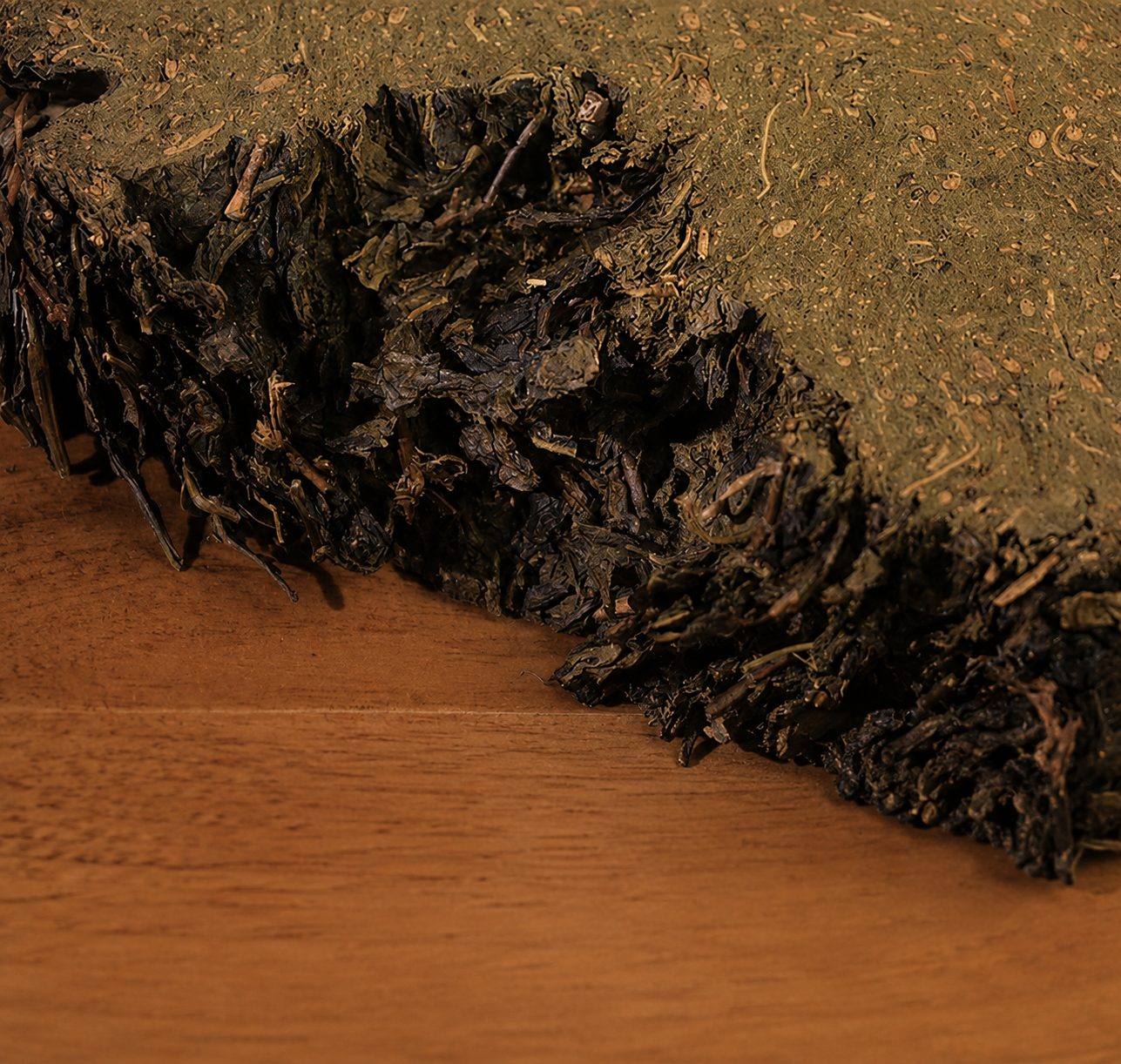 Gaoma Cangjuan – Qianliang Tea Cake 2019 Wild Centuries Old Tree Anhua Heicha