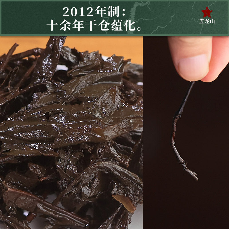 2012 Zuiyin Tianlu Anhua Dark Tea