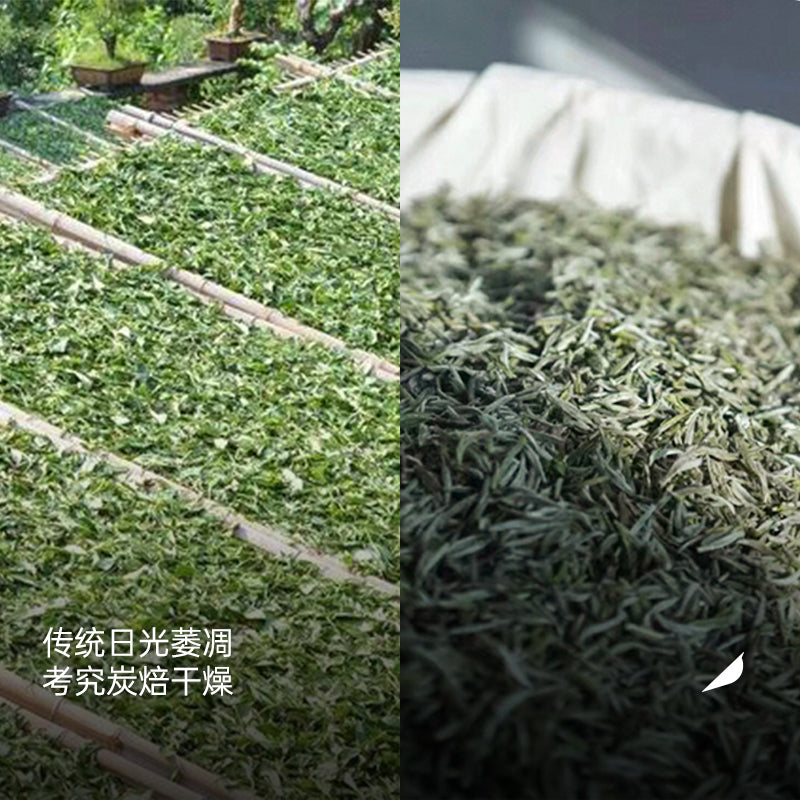 2025 Dragon Bud | Panxi Charcoal-Baked Silver Needle