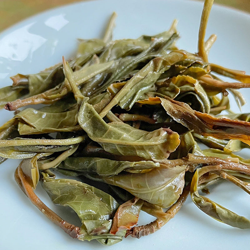 Yishanmo Ancient Tree Single-Origin Raw Pu-erh Tea Cake
