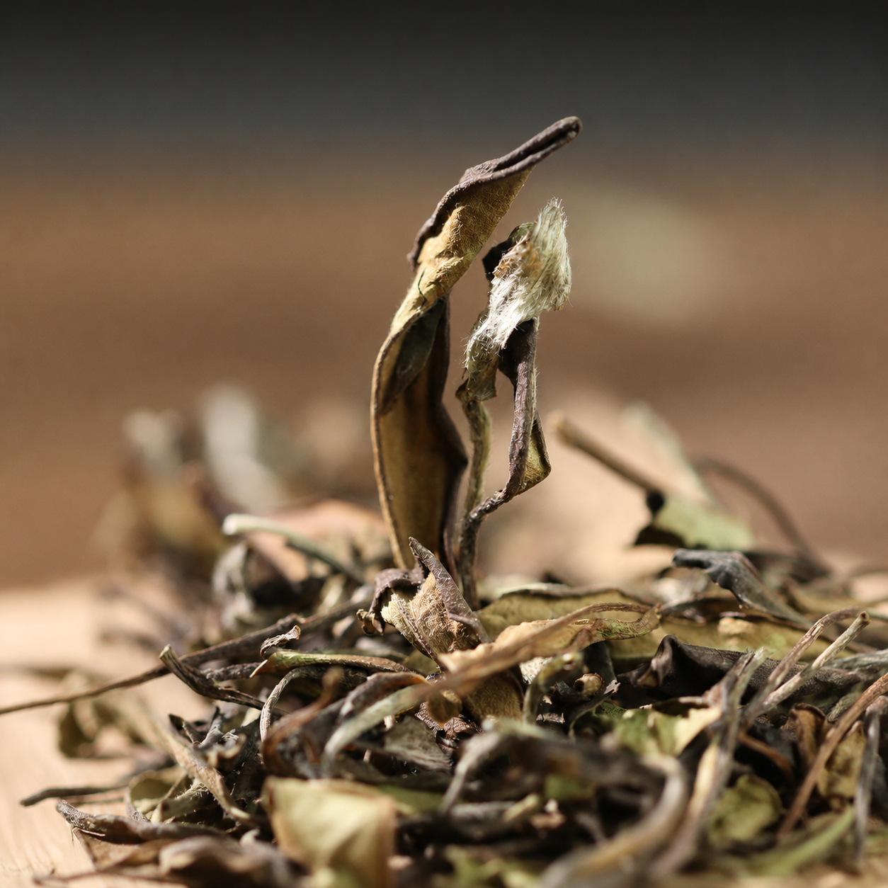 2017 Golden Award Shoumei Fuding White Tea