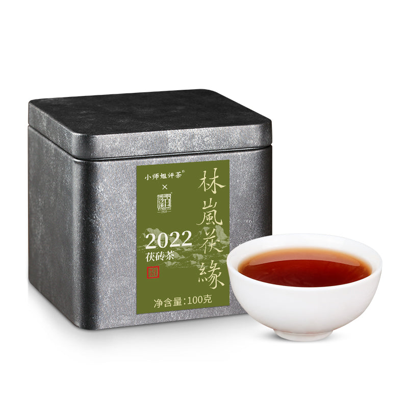 Forest Mist – 2022 Anhua Fu Brick Dark Tea Heicha