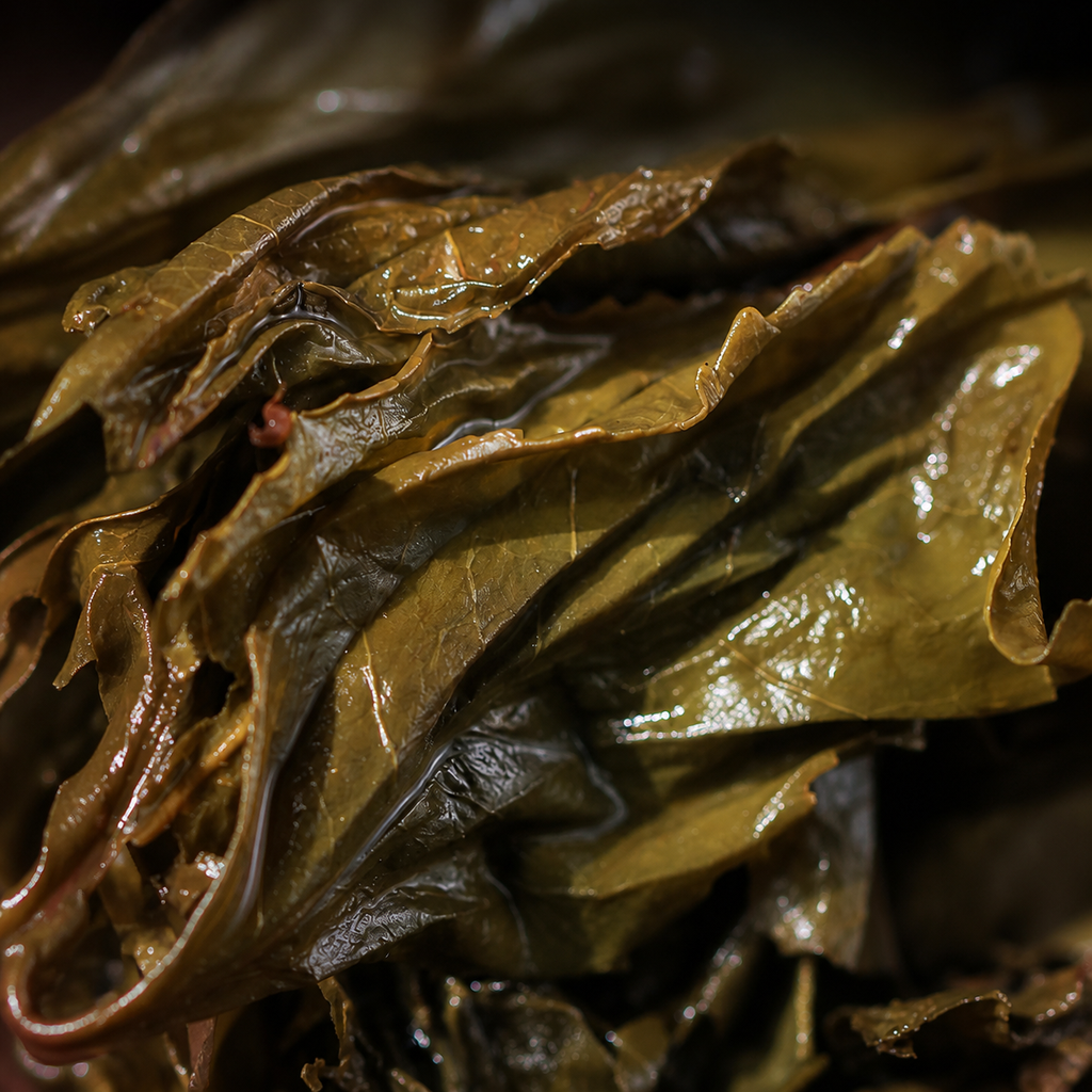Dragon and Horse –Wild Ancient Tree Fu Brick Tea