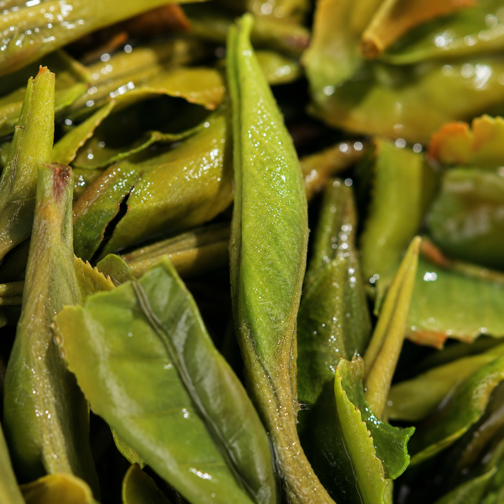 Phoenix Plume – Fuding White Peony King Mudan Wang 40g (5g x 8)
