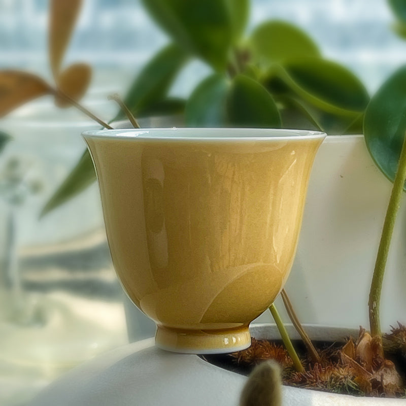 Huashen Master Cup